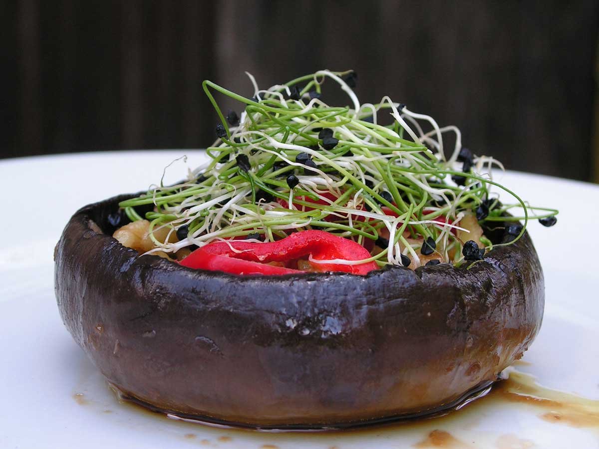 mushroom.1200.900@89-KB